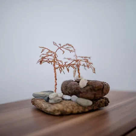 House Stojakovic Banjol