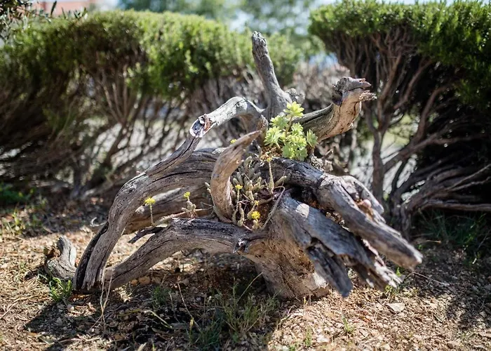 アパート House Stojakovic